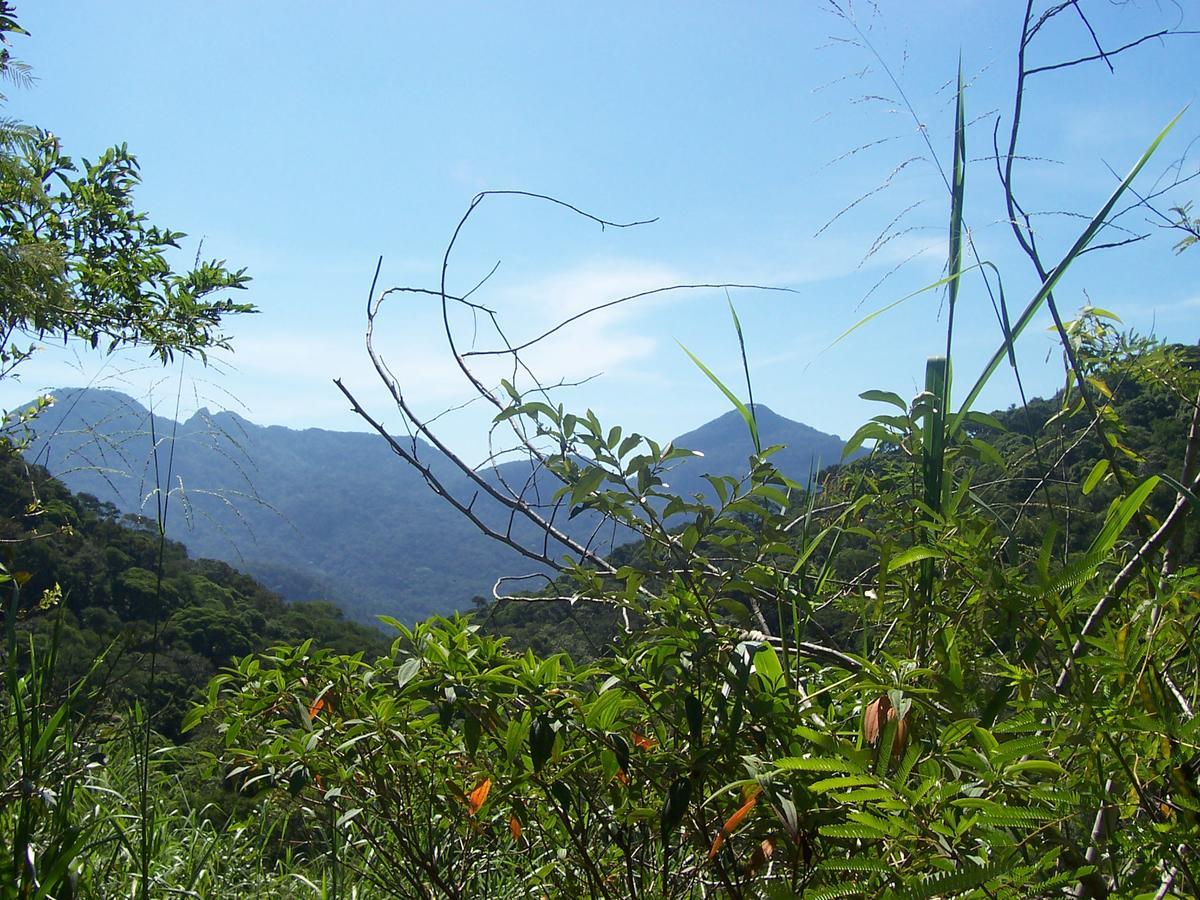 Casa Sao Conrado Hotel ริโอเดจาเนโร ภายนอก รูปภาพ